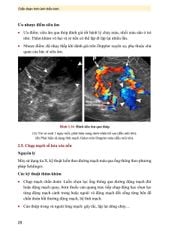 Chẩn Đoán Hình Ảnh Thần Kinh ( Giáo Trình Sau Đại Học ) - PGS.TS Vũ Đăng Lưu