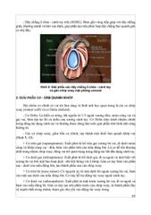 Chẩn Đoán Hình Ảnh Cơ Xương Khớp Tập 2 - PGS.TS.BS Nguyễn Duy Hùng