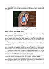 Combo 2 Cuốn Chẩn Đoán Hình Ảnh Cơ Xương Khớp ( Tập 1 + 2 ) - PGS.TS.BS Nguyễn Duy Hùng