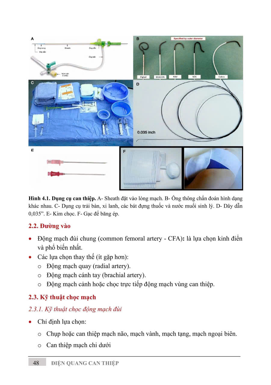 Điện Quang Can Thiệp ( Giáo Trình Sau Đại Học ) - PGS. TS. Vũ Đăng Lưu