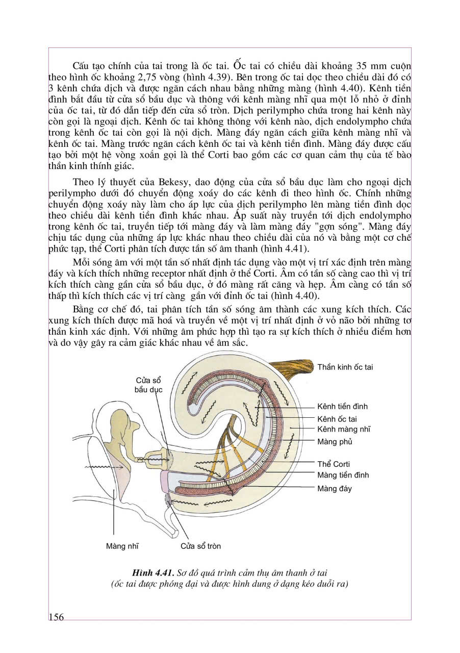 Vật Lý Lý Sinh Y Học - PGS.TSKH. Phan Sỹ An, PGS.TS. Nguyễn Văn Thiện