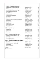 Vi Khuẩn Y Học (Dùng Cho Đào Tạo Bác Sĩ Và Học Viên Sau Đại Học) - ĐH Y Hà Nội, PGS.TS. Lê Văn Phùng