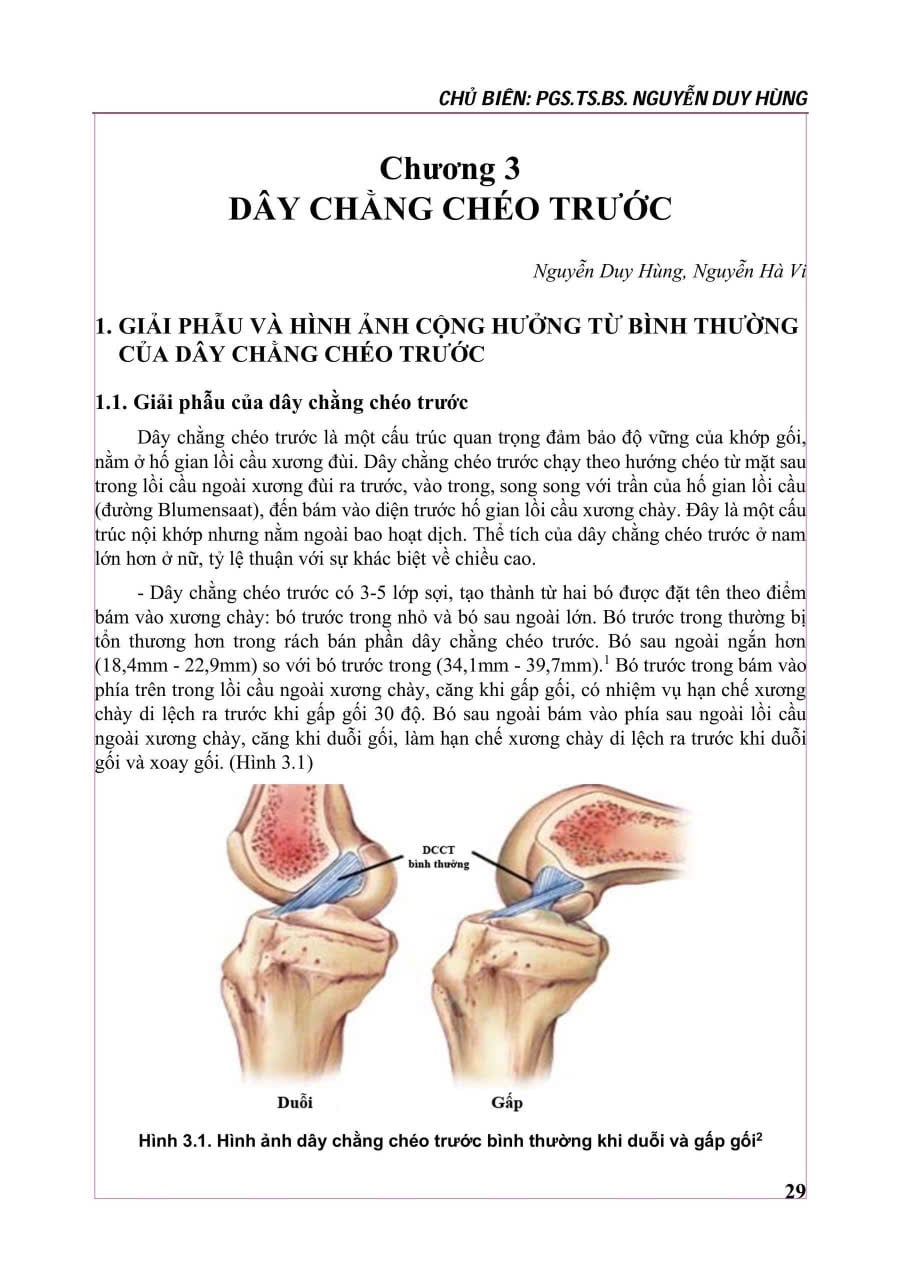 Cộng Hưởng Từ Khớp Gối - PGS.TS.BS Nguyễn Huy Hùng