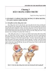 Cộng Hưởng Từ Khớp Gối - PGS.TS.BS Nguyễn Huy Hùng