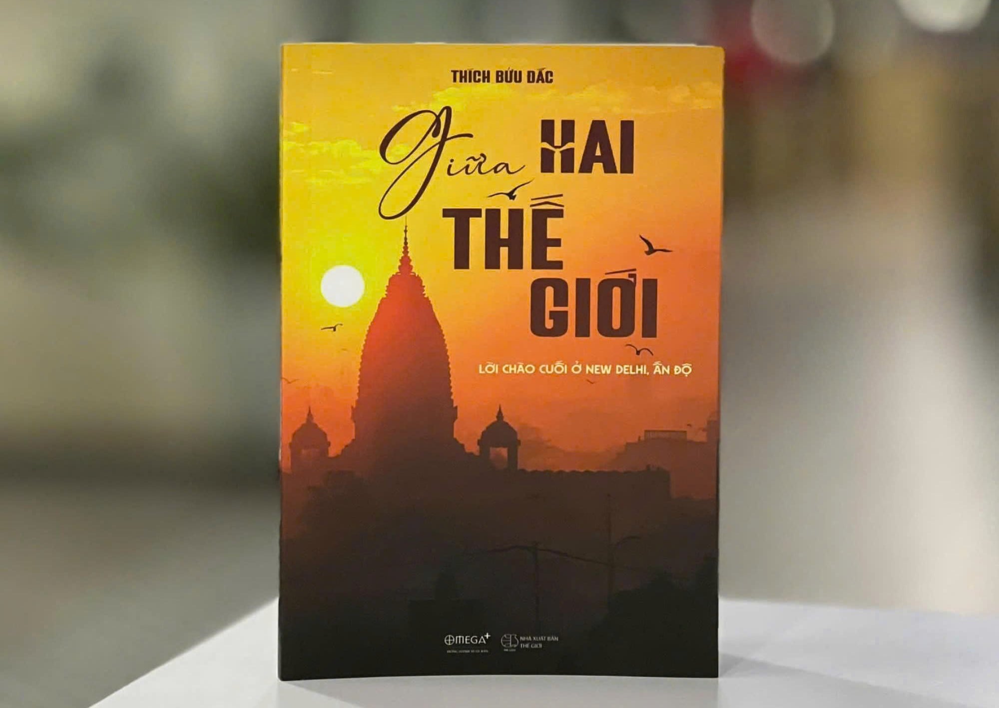 Giữa Hai Thế Giới - Lời Chào Cuối Ở New Delhi, Ấn Độ - Thích Bửu Đắc