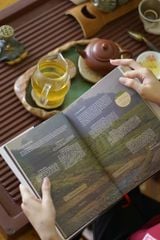 Nghiệp Trà ( 1988 - 2026 ) - Quỷ Trà