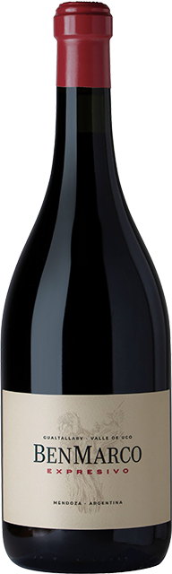 Benmarco, Expresivo, Gualtallary, Uco Valley