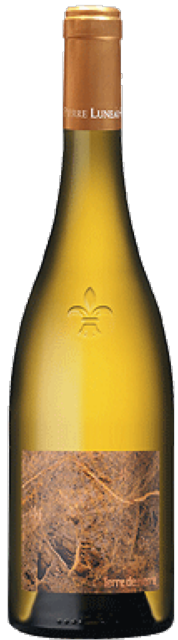 Domaine Luneau Papin, Terre de Pierre, Vieilles Vignes, Muscadet Sevre Et Maine sur Lie