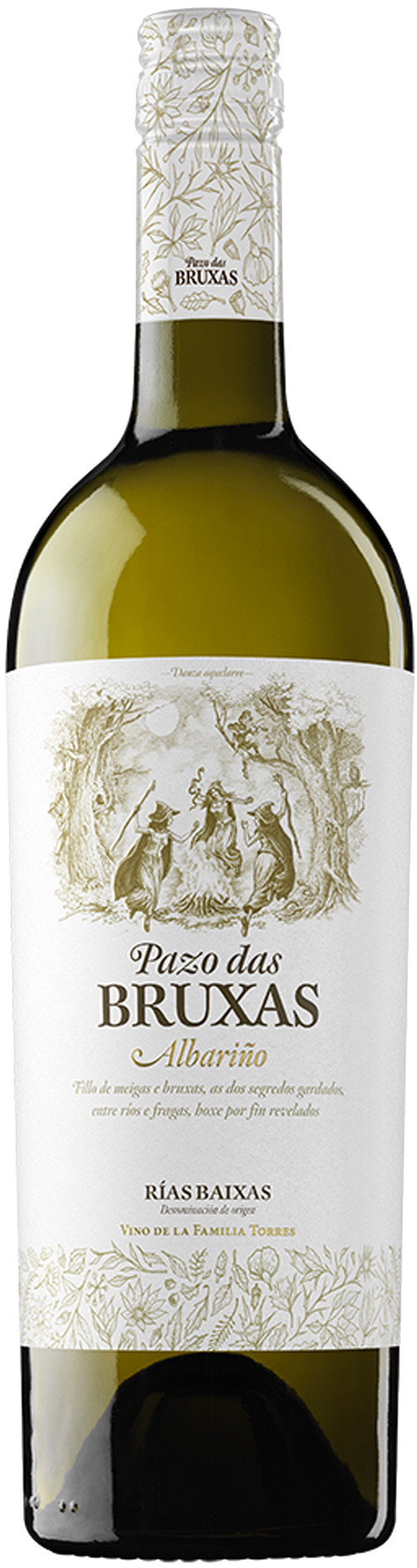 Torres, Pazo das Bruxas Albarino, DO Rias Baixas