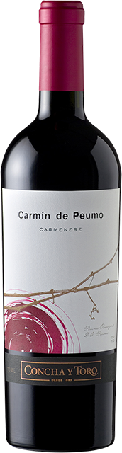 Concha Y Toro, Carmin de Peumo, Cachapoal Valley 2013