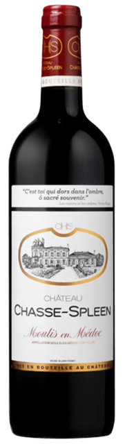 Chateau Chasse Spleen, Moulis en Medoc  2014