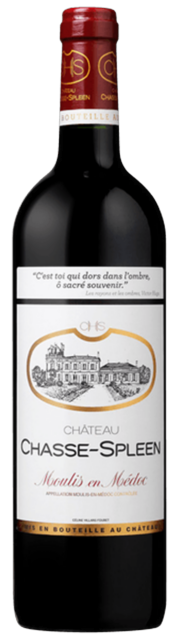 Chateau Chasse Spleen, Moulis en Medoc