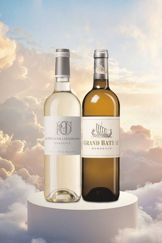 Wine Combo - Air Signs (Exclusive for Web Orders)