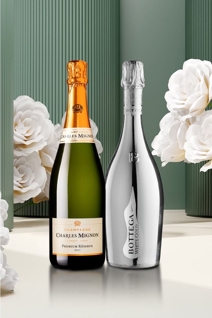 Quà tặng rượu vang - Toast To Success (Chỉ áp dụng trên Website)