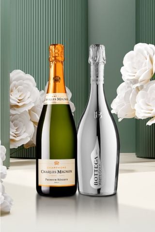 Quà tặng rượu vang - Toast To Success (Chỉ áp dụng trên Website)