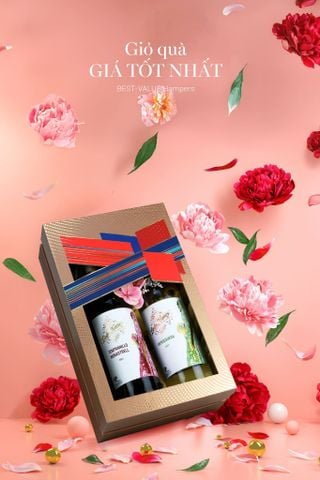 Giỏ quà Tết 2026 - Gift Hamper Basket 06