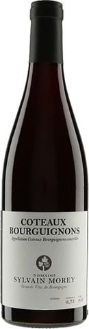 Domaine Sylvain Morey, Coteaux Bourguignon 2023