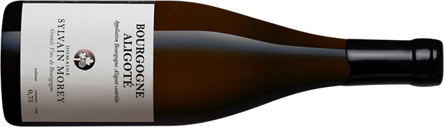 Domaine Sylvain Morey, Bourgogne Aligote 2023