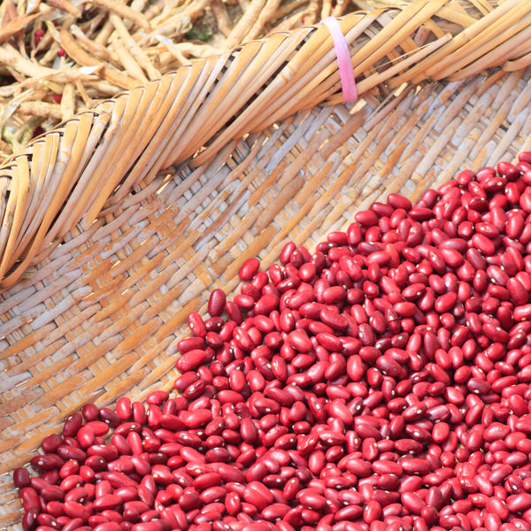  Đậu đỏ Cơtu 500gr 