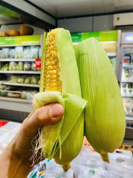  Bắp ngọt/ Ngô ngọt 