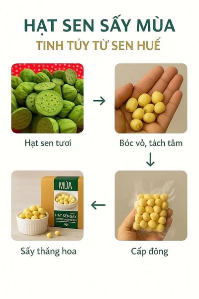  Hạt sen khô Mùa 150gr 