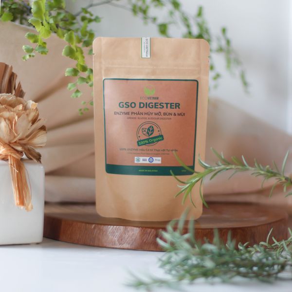  Enzyme phân hủy mỡ, bùn & khử mùi 100gr 