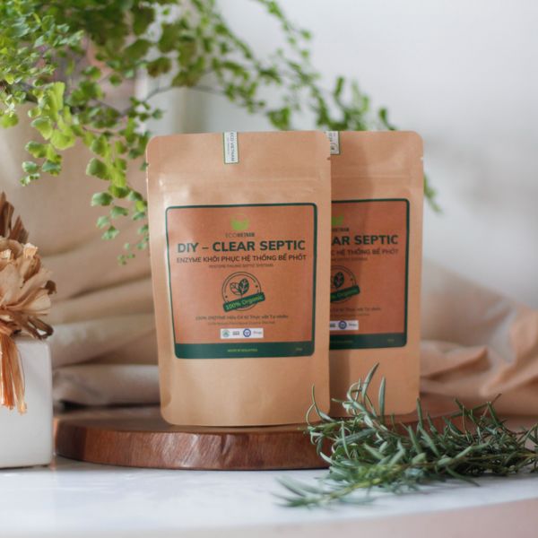  Enzyme khôi phục hệ thống bể phốt 100gr 