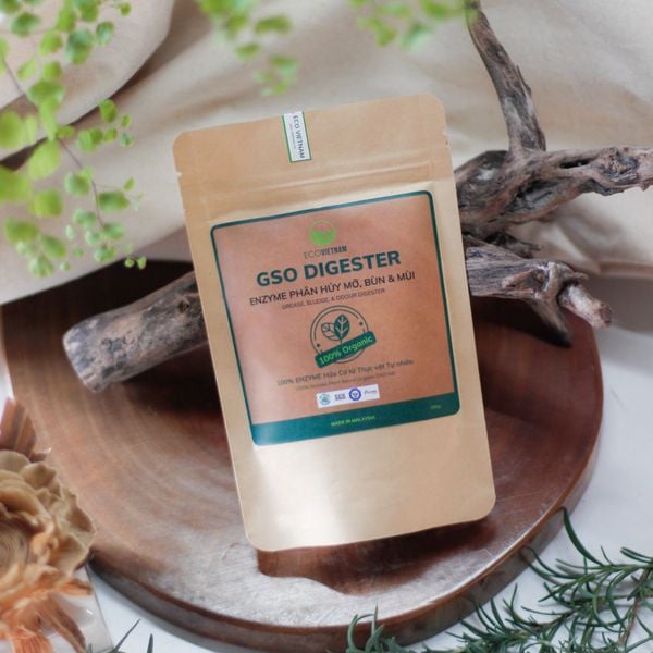  Enzyme phân hủy mỡ, bùn & khử mùi 100gr 