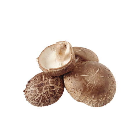  Nấm hương hữu cơ (500gr) 