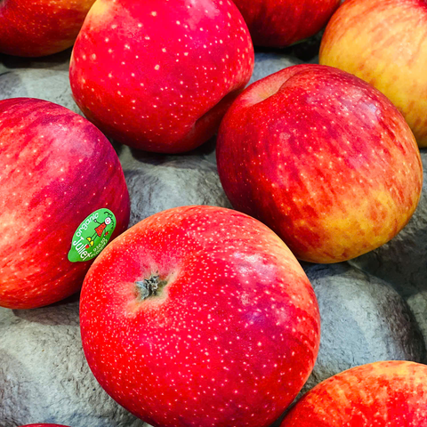  Táo Juliet hữu cơ 