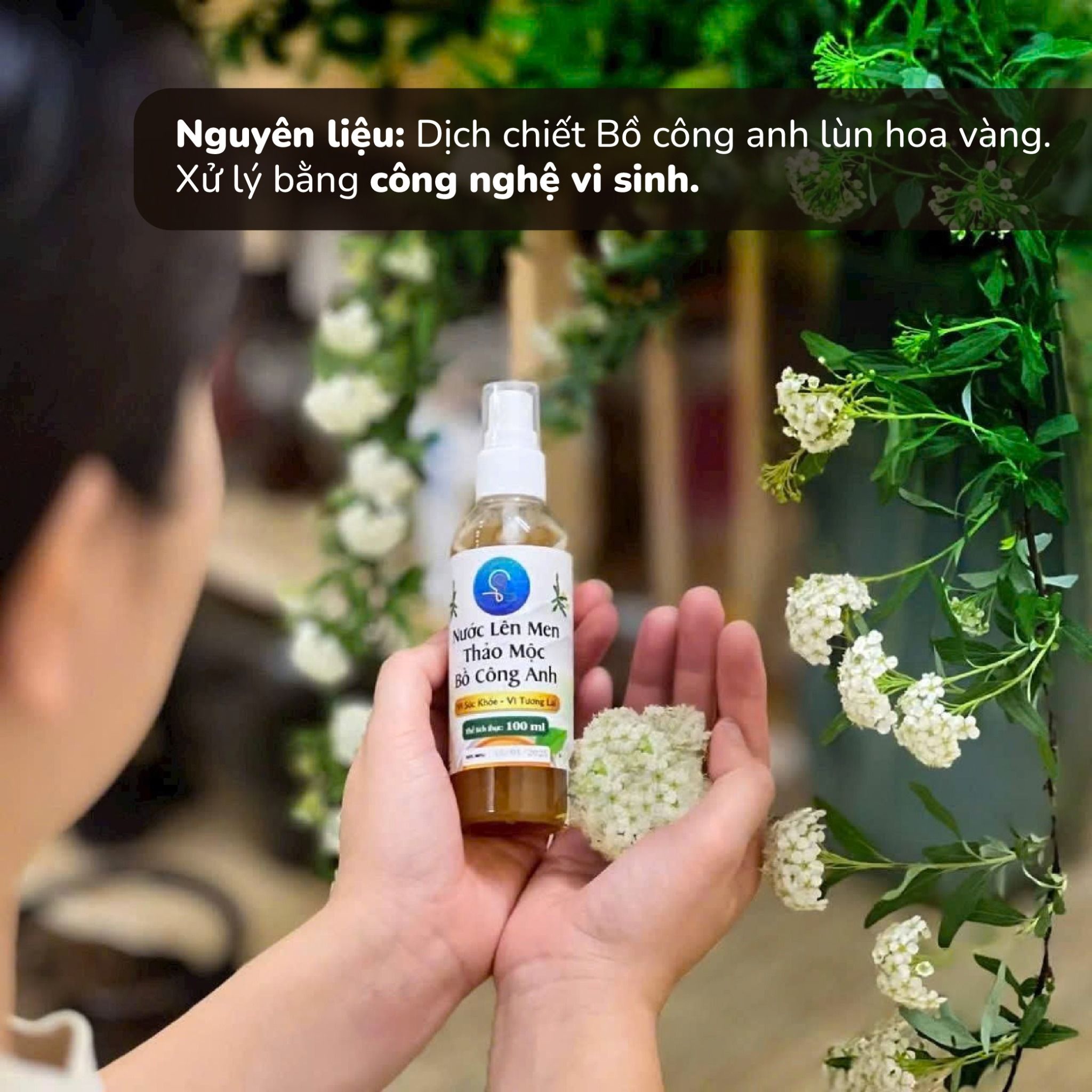  Nước lên men Bồ công anh 100ml 
