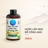  Nước lên men Bồ công anh 250ml 