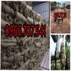 top-20-cac-loai-hang-rao-di-dong-chat-luong