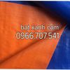 bat-dua-cong-trinh-mau-trang