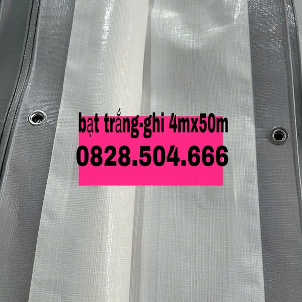 bat-xam-trang-4mx50m