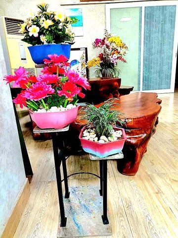 Chậu hoa phòng khách Kiểu Hàn Quốc từ nhựa tái chế