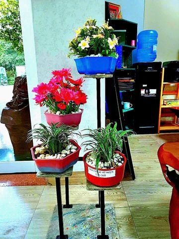 Chậu hoa phòng khách Kiểu Hàn Quốc từ nhựa tái chế