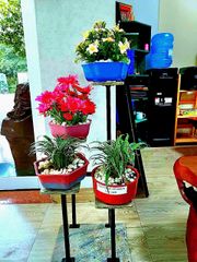 Chậu hoa phòng khách Kiểu Hàn Quốc từ nhựa tái chế