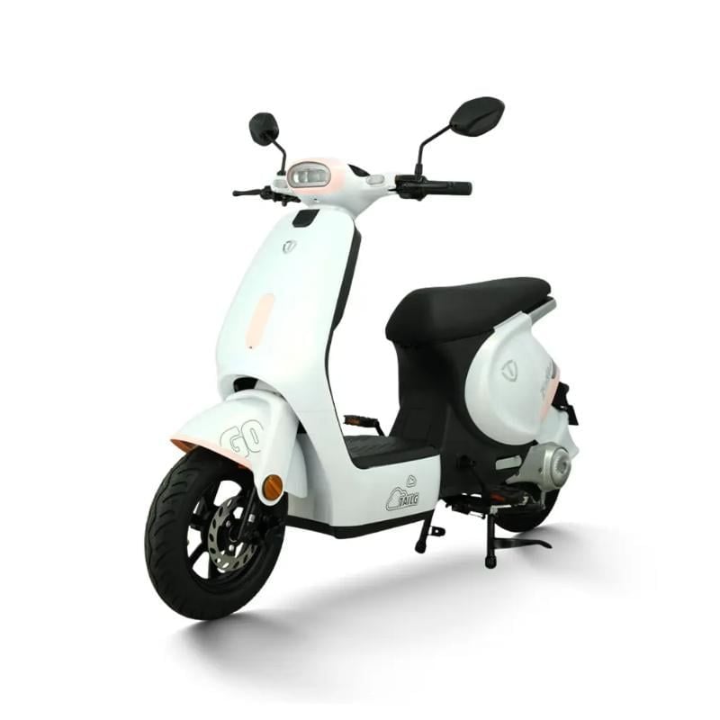 Xe đạp điện TAILG GR56