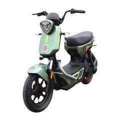 Xe đạp điện TAILG GX30