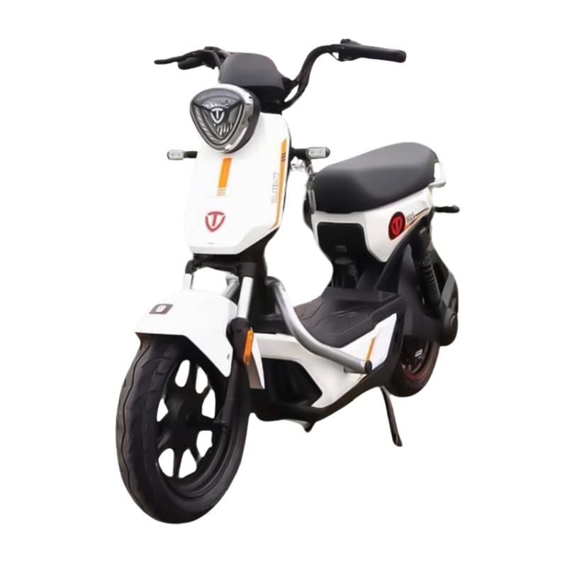 Xe đạp điện TAILG GX30