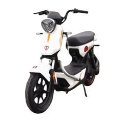 Xe đạp điện TAILG GX30