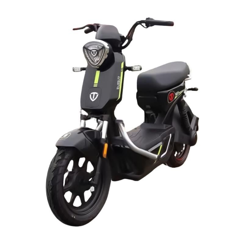 Xe đạp điện TAILG GX30