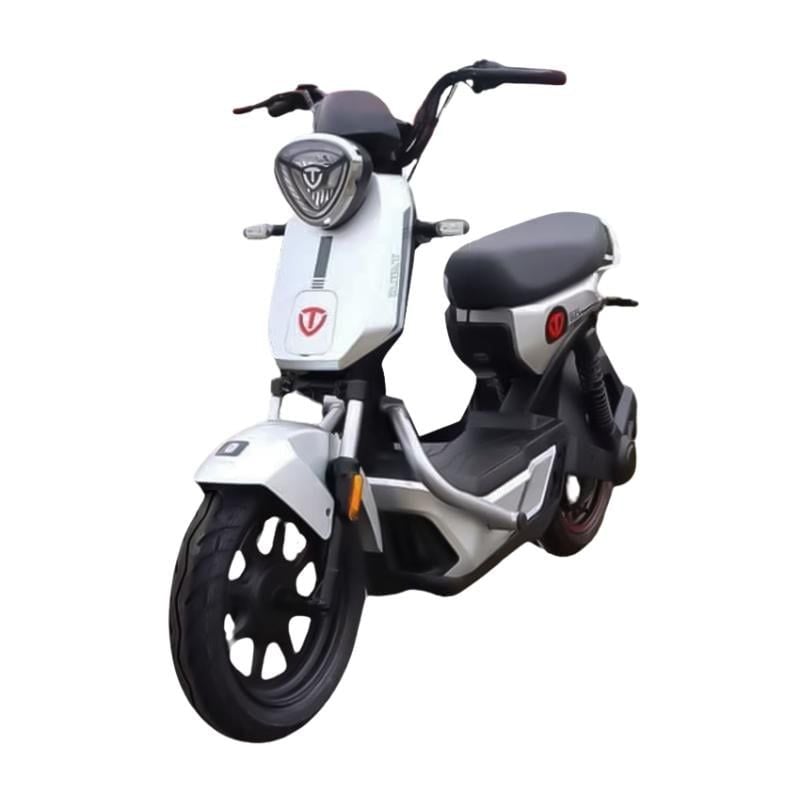 Xe đạp điện TAILG GX30