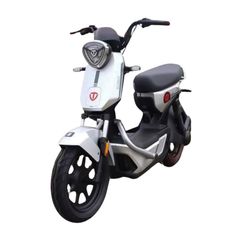 Xe đạp điện TAILG GX30