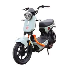 Xe đạp điện TAILG GX30