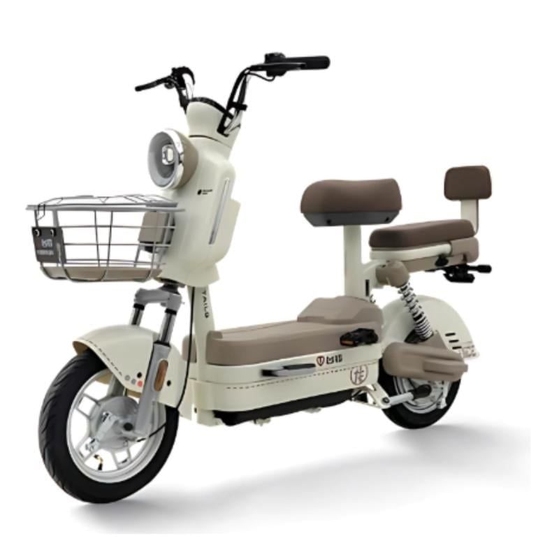Xe đạp điện TAILG JS32