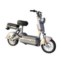 Xe đạp điện TAILG JS32