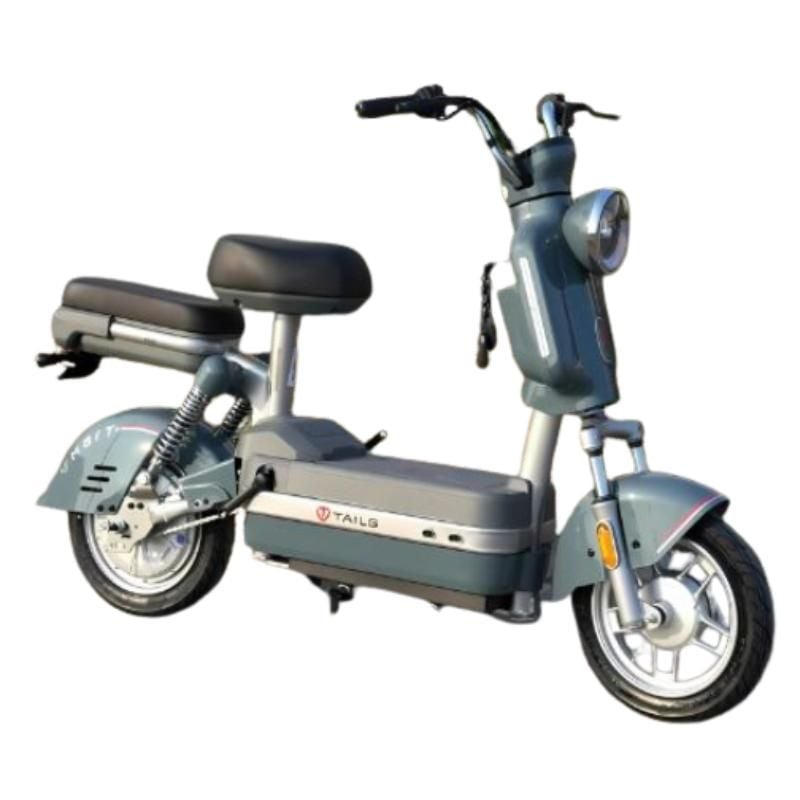 Xe đạp điện TAILG JS32