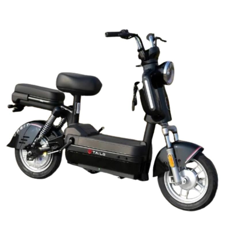 Xe đạp điện TAILG JS32